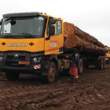 Logging Renault Trucks in Cameroon